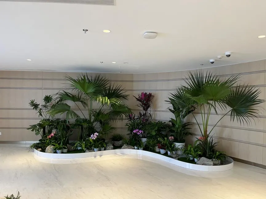 宁波花卉租摆专业